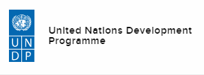 Read more about the article United Nations Development Programme (UNDP)